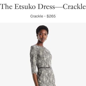 Etsuko dress, NWT
